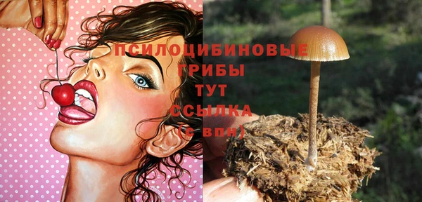 молекула духа Алзамай