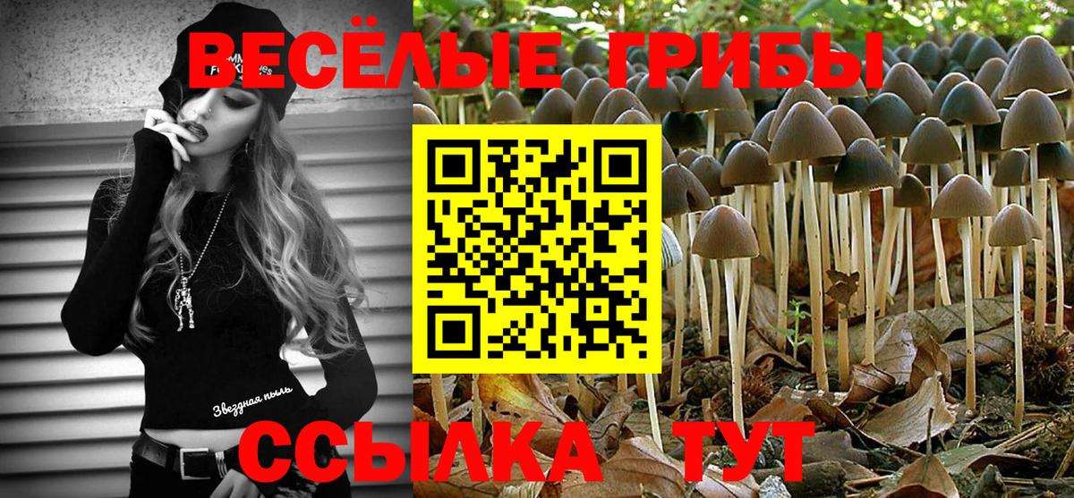 Галлюциногенные грибы ЛСД  Вход с VPN  Черемхово  Галлюциногенные грибы мицелий 