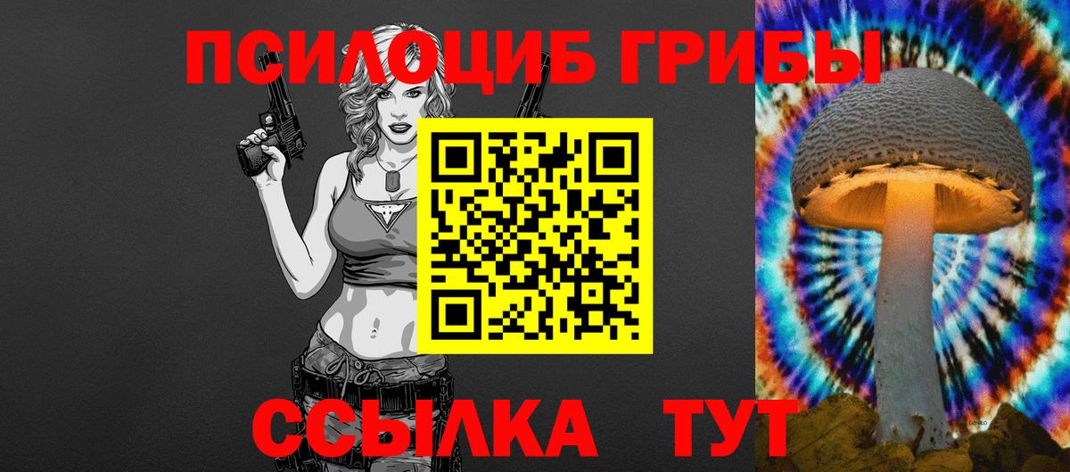 Псилоцибиновые грибы прущие грибы Черемхово